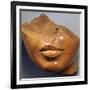 Fragmentary Head of a Queen, Reign of Akhenaten, Egyptian, 18th Dynasty-null-Framed Photographic Print