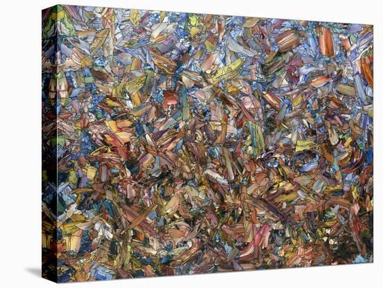 Fragmented Fall-James W Johnson-Stretched Canvas