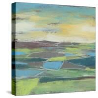 Fragmented Field II-Jennifer Goldberger-Stretched Canvas