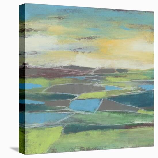 Fragmented Field II-Jennifer Goldberger-Stretched Canvas