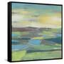 Fragmented Field II-Jennifer Goldberger-Framed Stretched Canvas