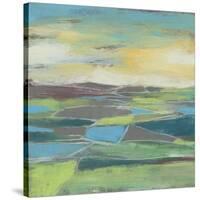 Fragmented Field II-Jennifer Goldberger-Stretched Canvas