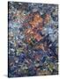 Fragmented Man-James W Johnson-Stretched Canvas