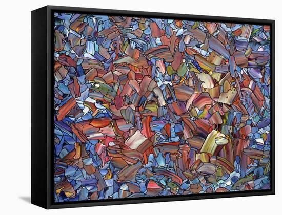 Fragmented Rose-James W. Johnson-Framed Stretched Canvas