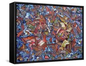 Fragmented Rose-James W. Johnson-Framed Stretched Canvas