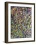 Fragmented Spring-W Johnson James-Framed Giclee Print