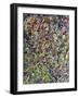 Fragmented Spring-W Johnson James-Framed Giclee Print