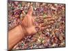 Fragmented Touch-James W. Johnson-Mounted Giclee Print