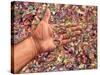 Fragmented Touch-James W. Johnson-Stretched Canvas