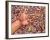 Fragmented Touch-James W. Johnson-Framed Giclee Print