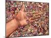 Fragmented Touch-James W. Johnson-Mounted Giclee Print