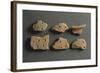 Fragments of Pottery, from Monte Bignone, Province of Imperia, Italy-null-Framed Giclee Print