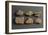 Fragments of Pottery, from Monte Bignone, Province of Imperia, Italy-null-Framed Giclee Print