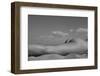 fragments of the landscape 8-Mikhail Faletkin-Framed Photographic Print