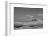 fragments of the landscape 8-Mikhail Faletkin-Framed Photographic Print