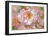 Fragrance Of Love-Cora Niele-Framed Giclee Print