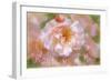 Fragrance Of Love-Cora Niele-Framed Giclee Print