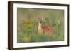 Fragrance of Summer-Nick Kalathas-Framed Photographic Print