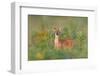 Fragrance of Summer-Nick Kalathas-Framed Photographic Print