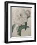 Fragrant Peony-Pierre-Joseph Redoute-Framed Art Print