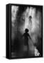 Fraicheur D'Asie-Eric Drigny-Framed Stretched Canvas