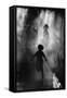 Fraicheur D'Asie-Eric Drigny-Framed Stretched Canvas