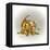 Fraidy Cat-Peggy Harris-Framed Stretched Canvas