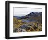 Frailejon Plants (Espeletia) at Laguna Grande Del Los Verde, El Cocuy National Park, Colombia-Christian Kober-Framed Photographic Print