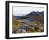 Frailejon Plants (Espeletia) at Laguna Grande Del Los Verde, El Cocuy National Park, Colombia-Christian Kober-Framed Photographic Print