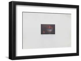 Fraises-Laurent Schkolnyk-Framed Limited Edition