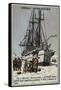 Fram, Ship Specially Designed for Polar Expeditions-null-Framed Stretched Canvas