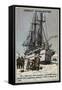 Fram, Ship Specially Designed for Polar Expeditions-null-Framed Stretched Canvas