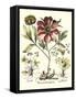 Framboise Floral I-Besler Basilius-Framed Stretched Canvas