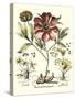 Framboise Floral I-Besler Basilius-Stretched Canvas