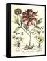 Framboise Floral I-Besler Basilius-Framed Stretched Canvas