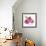 Framboises-Sandra Jacobs-Framed Giclee Print displayed on a wall