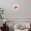 Framboises-Sandra Jacobs-Mounted Giclee Print displayed on a wall
