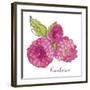 Framboises-Sandra Jacobs-Framed Giclee Print