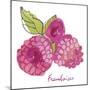 Framboises-Sandra Jacobs-Mounted Giclee Print