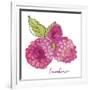 Framboises-Sandra Jacobs-Framed Giclee Print