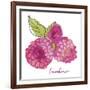 Framboises-Sandra Jacobs-Framed Giclee Print