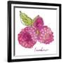 Framboises-Sandra Jacobs-Framed Giclee Print