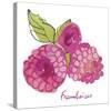 Framboises-Sandra Jacobs-Stretched Canvas