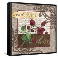 Framboises-Fiona Stokes-Gilbert-Framed Stretched Canvas
