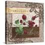 Framboises-Fiona Stokes-Gilbert-Stretched Canvas