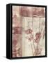 Framed Blossoms I-Jennifer Goldberger-Framed Stretched Canvas
