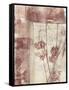 Framed Blossoms I-Jennifer Goldberger-Framed Stretched Canvas