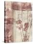 Framed Blossoms I-Jennifer Goldberger-Stretched Canvas