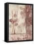 Framed Blossoms II-Jennifer Goldberger-Framed Stretched Canvas