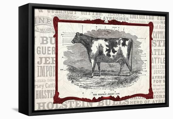 Framed Cow-null-Framed Stretched Canvas